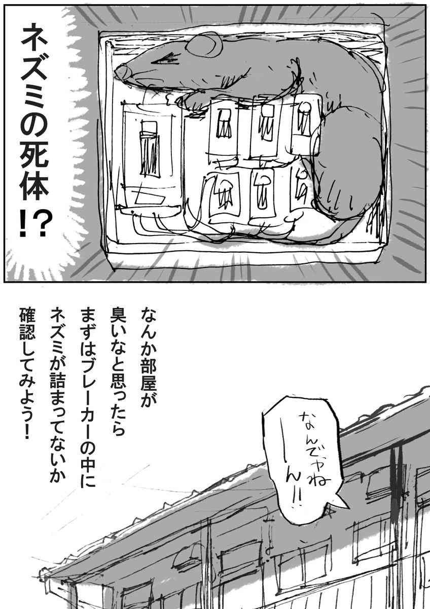 家の中がなんか臭いのでニオイの元を辿ったらとんでもないものが原因だった、というお話に悲鳴「怖すぎ！」