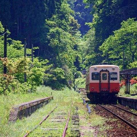 どこか切ない夏の画像を貼っていくトピ
