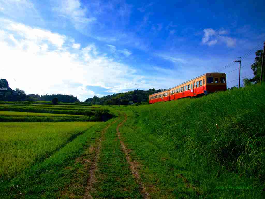【画像】夏の、和風のものが見たい