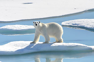 寒いなと思ったこと