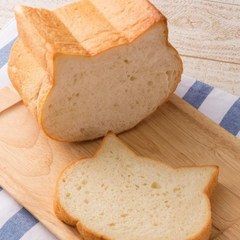 ガルちゃん猫カフェ17号店 開店しました♪ (初めての方も大歓迎！)