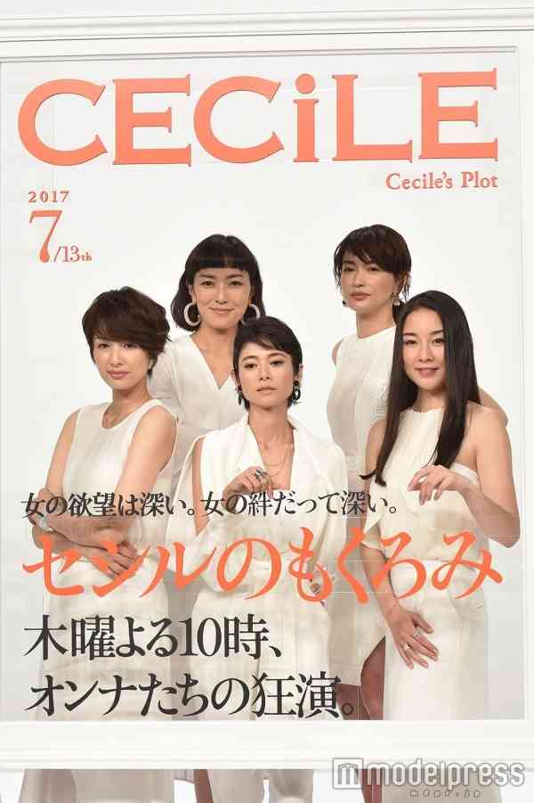 真木よう子の