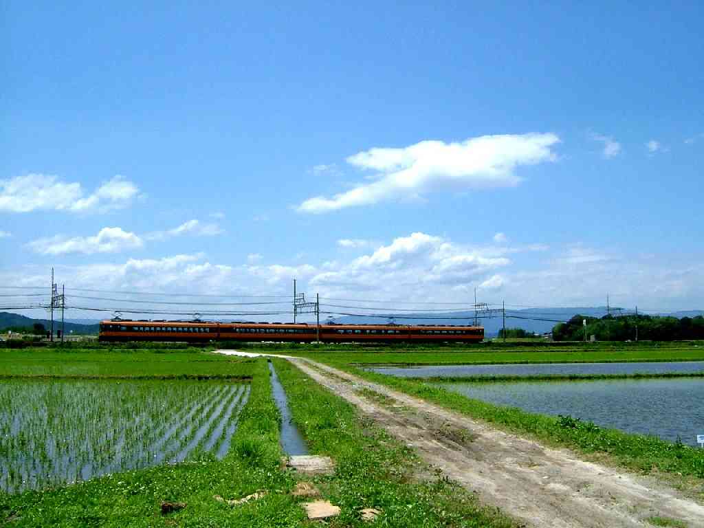 どこか切ない夏の画像を貼っていくトピ