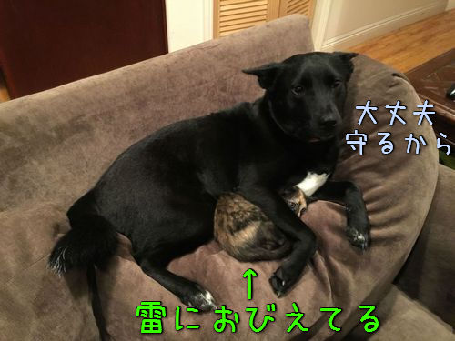 女性ならではの恐怖体験
