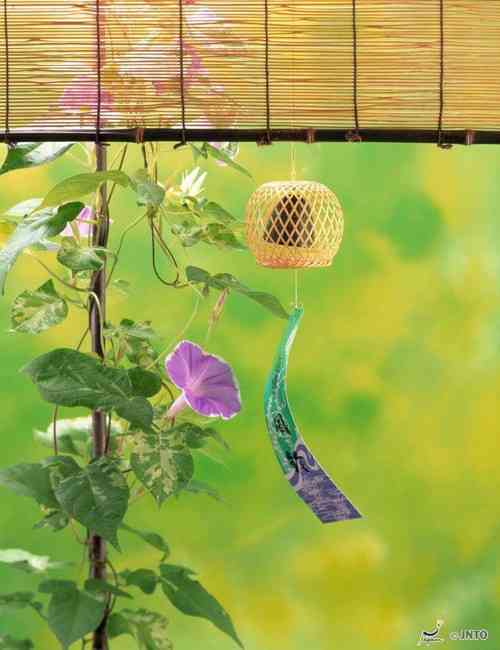 【画像】夏の、和風のものが見たい