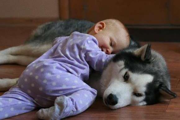 動物と子供の写真を貼るトピ