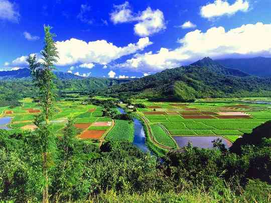 【画像】夏の、和風のものが見たい