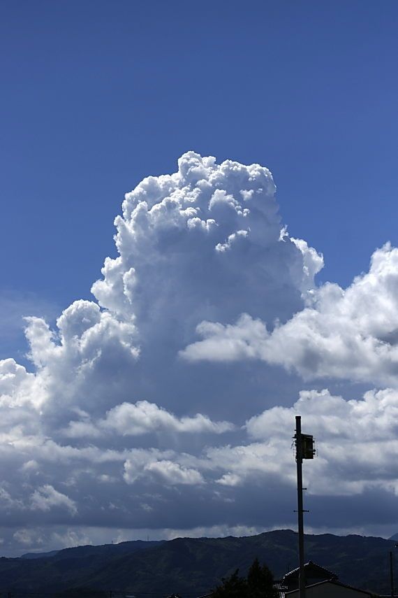 どこか切ない夏の画像を貼っていくトピ