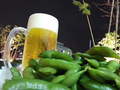 【画像】夏の、和風のものが見たい