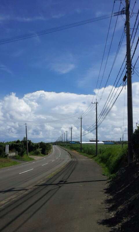 どこか切ない夏の画像を貼っていくトピ