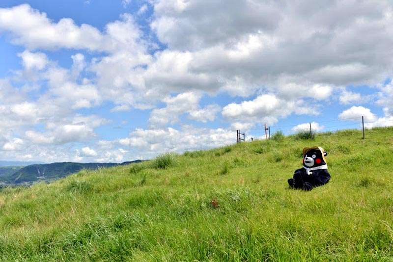 【画像】夏の、和風のものが見たい