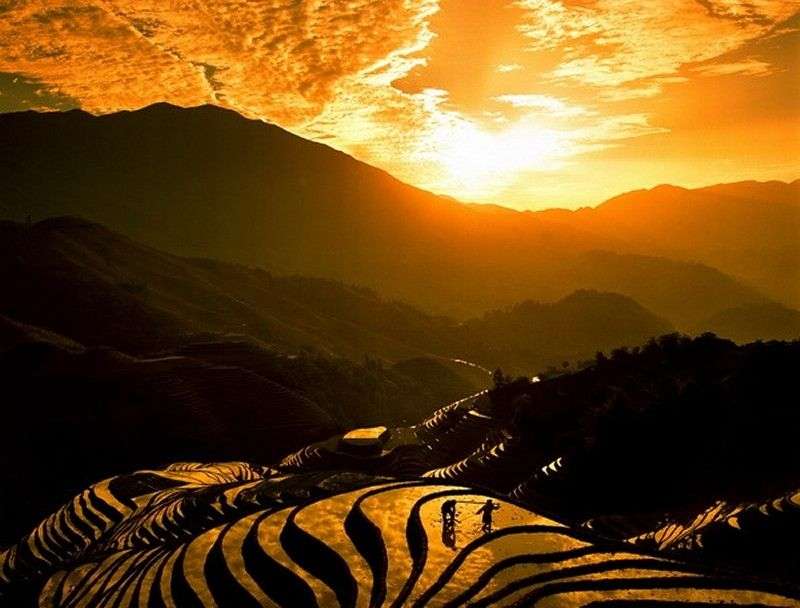 どこか切ない夏の画像を貼っていくトピ