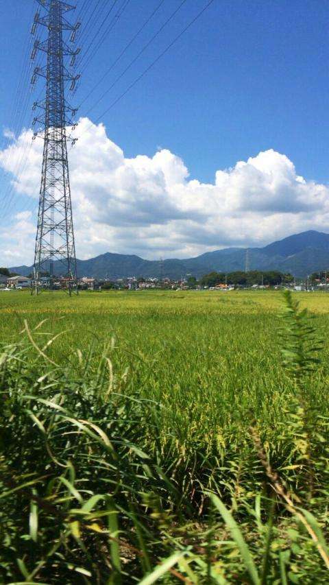 どこか切ない夏の画像を貼っていくトピ