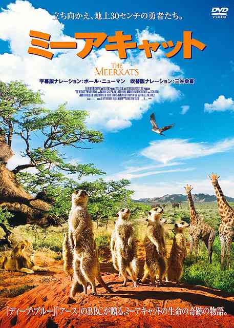【画像】動物の子供達
