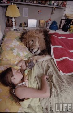 ラブラブな動物達の画像