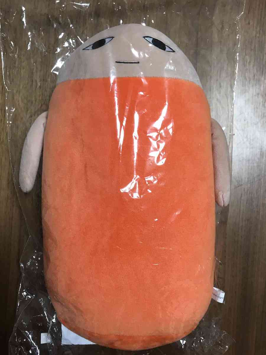 勢いで買って困惑している物