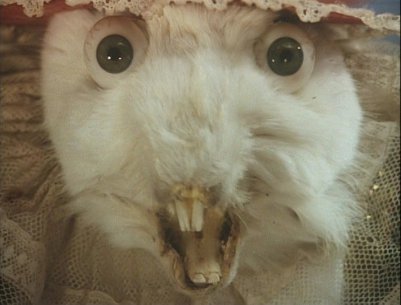 シュールなものが好きな人集まれ～