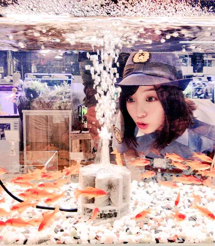 『警視庁いきもの係』金魚の水槽を覗く橋本環奈がかわいすぎ