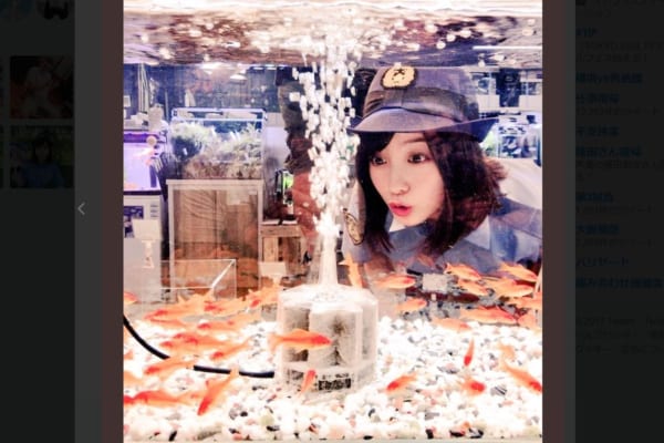 『警視庁いきもの係』金魚の水槽を覗く橋本環奈がかわいすぎ – しらべぇ ｜ 気になるアレを大調査ニュース！
