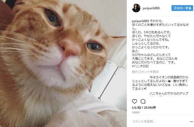 石田ゆり子、飼いネコ「痩せすぎ」指摘に反論「ぼくわ、5キロもあるんです」