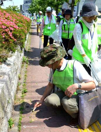 犬のふん害防止に効果絶大、イエローチョーク作戦　京都、全国で反響