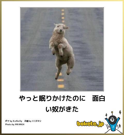 【ネタ】朝まで起きている方法