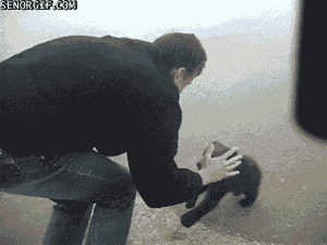 【画像】動物の子供達