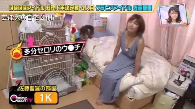 【SKE48の自宅】佐藤聖羅さんの自宅【画像あり】