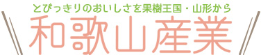 フルーツソース | 和歌山産業