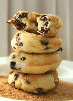 こっち見んな！な画像を淡々と貼っていくトピ