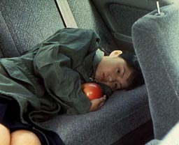 映画『害虫』 - シネマトゥデイ