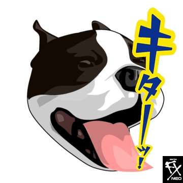 【実況・感想】土曜プレミアム・ほんとにあった怖い話 夏の特別編2017
