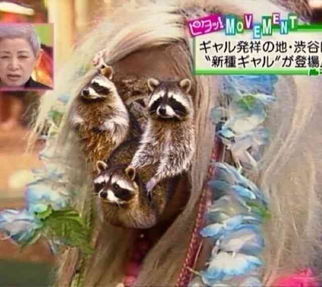 昔にガルちゃんがあったら叩かれてたであろう物