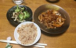 ちピーコのご飯日常のこと – 日々の夕食の記録と美味しいものについて書いています。