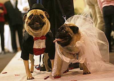 結婚式の進行で「これはいらないでしょ」って思うこと