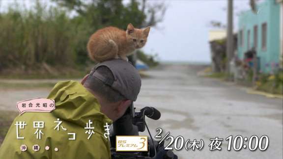 【画像】動物の子供達