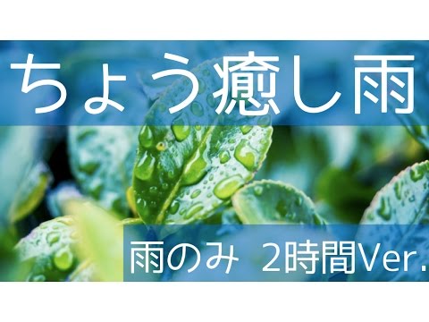 【超高音質・立体音響】きれいな雨の音（他の音無し2時間Ver.）！読書 睡眠 瞑想用bgm - YouTube