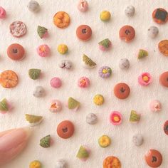 ミニチュアの画像トピ