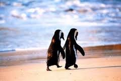 ラブラブな動物達の画像