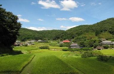 田舎へ嫁いだ方