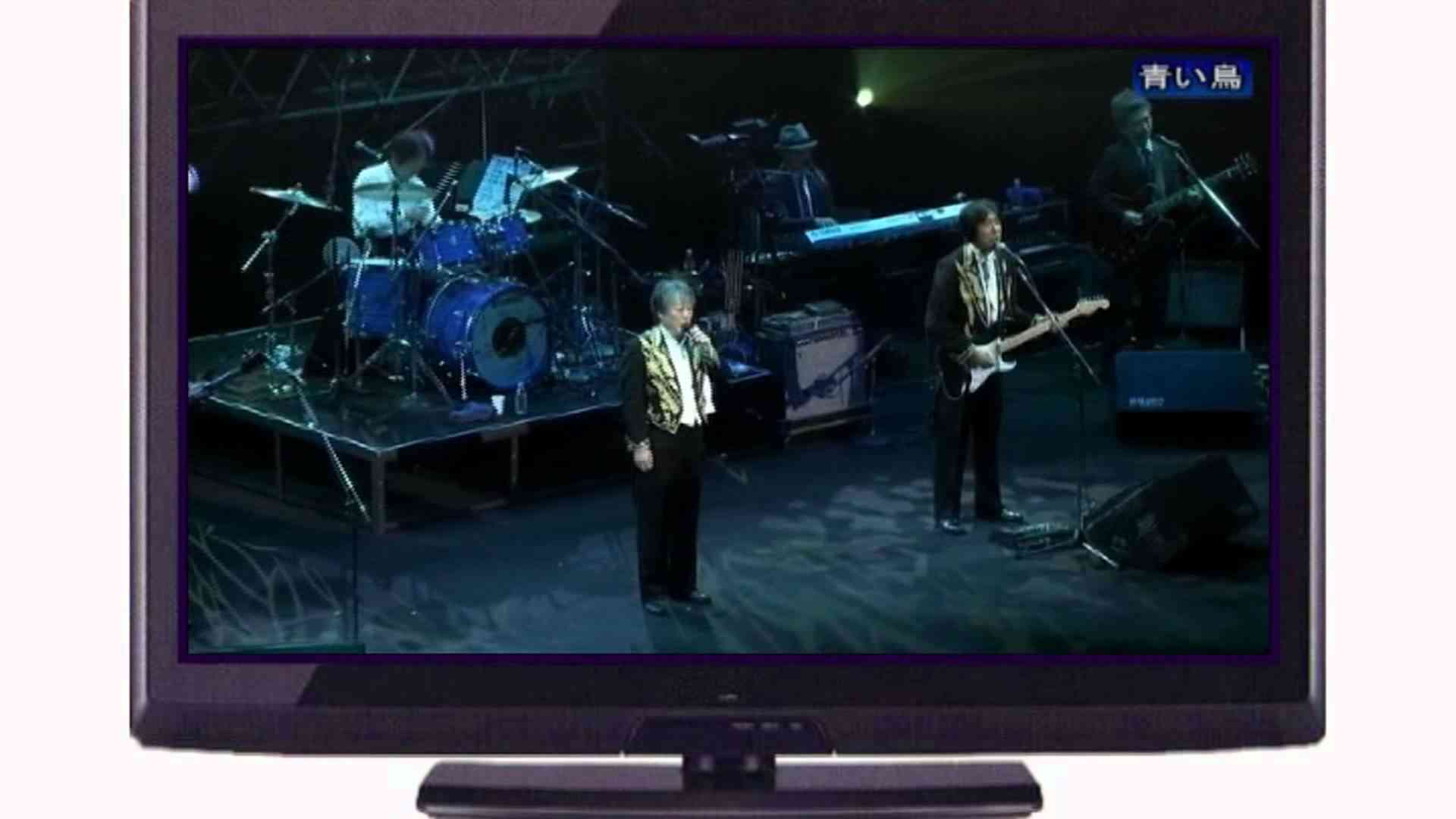 ザ・タイガース　♪美しき愛の掟～青い鳥 - YouTube