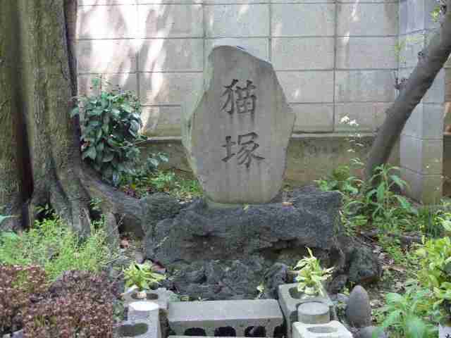 動物の命についてどう思いますか?