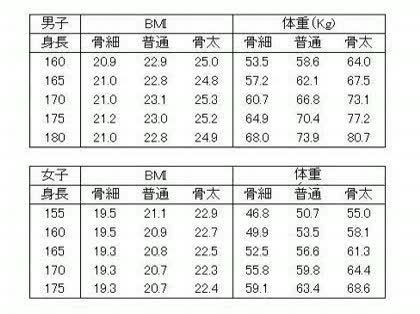 普通体型の基準
