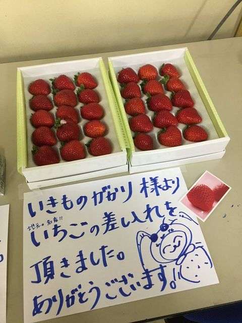 芸能人の差し入れがみたい!!