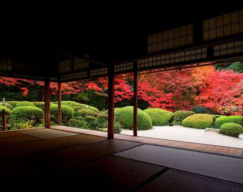 日本庭園に癒されるトピ