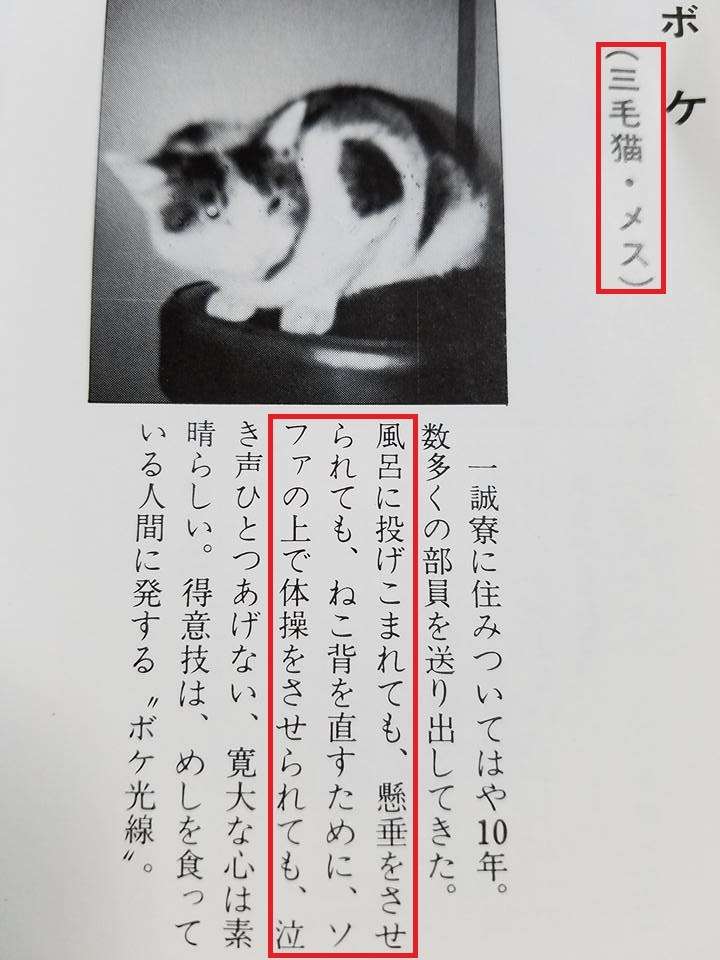 「偏向報道を許すな！」TBS本社前で500人が抗議デモ　我那覇真子さんも参加「テレビは真実伝えず国民をだましてる！」