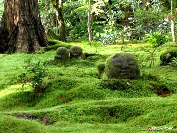 緑色で癒されよう