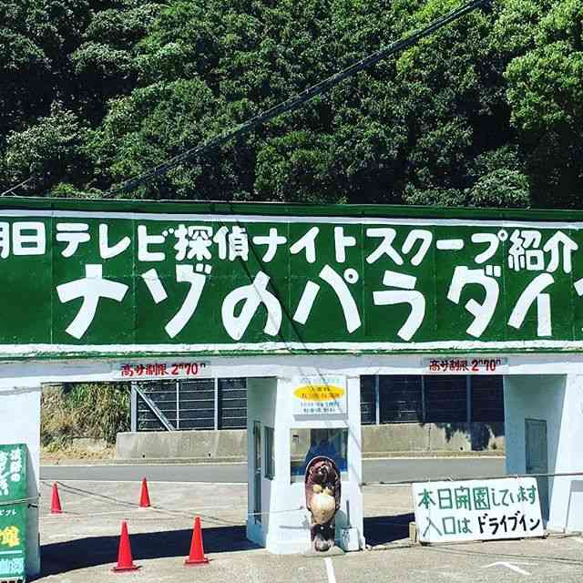 「探偵！ナイトスクープ」を語ろう in関西 【集まれ】