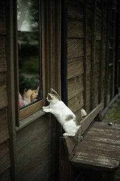 色んな意味で切なくなる画像を下さい