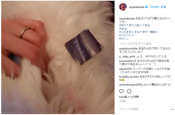 神田沙也加、愛犬を披露するも別のところで批判の的に「犬より指輪を見せたいだけ？」 